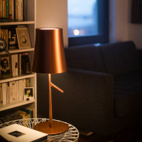 Large Copper Foscarini Birdie Table Lamp