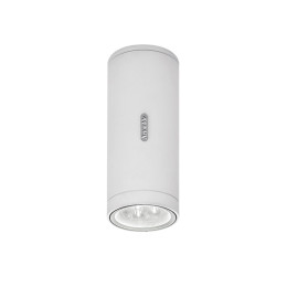 Artemide Architectural Calumet LED Outdoor Ceiling Light