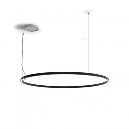 Compendium Circular Suspension Light in Black