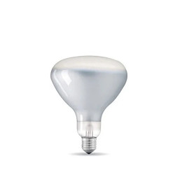 Flos Parentesi 12W E27 Bulb