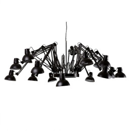 Moooi Dear Ingo Suspension Black
